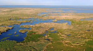 Kugurluy lake in Ukrainian Danube Delta