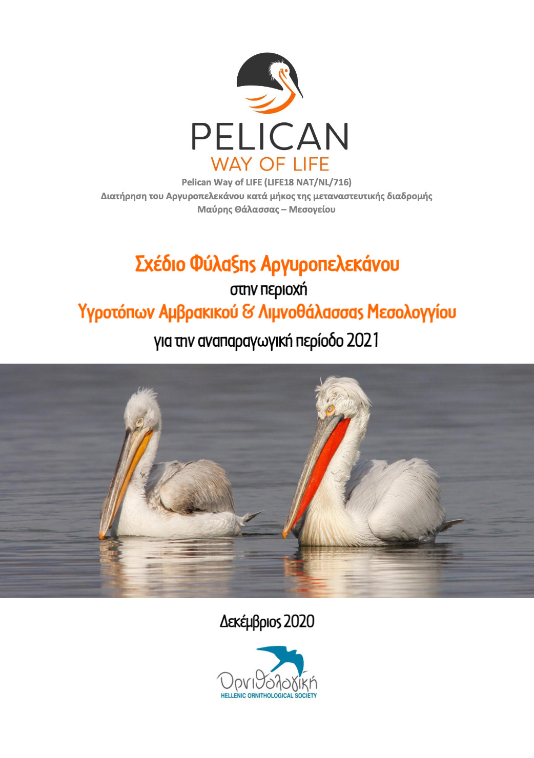 Dalmatian Pelican Monitoring Manual