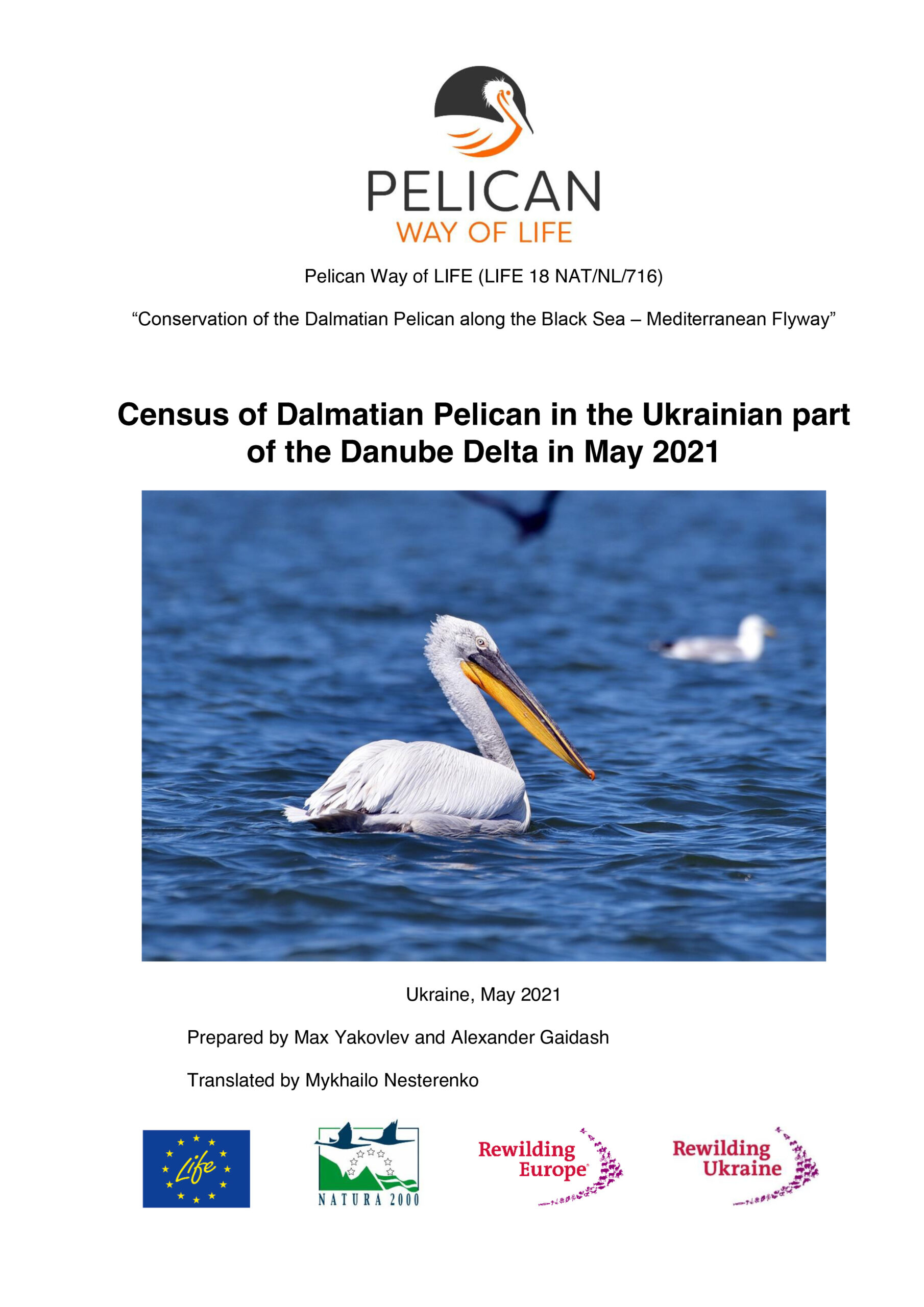 Census of Dalmatian Pelican in the Ukrainian part of the Danube Delta in May 2021