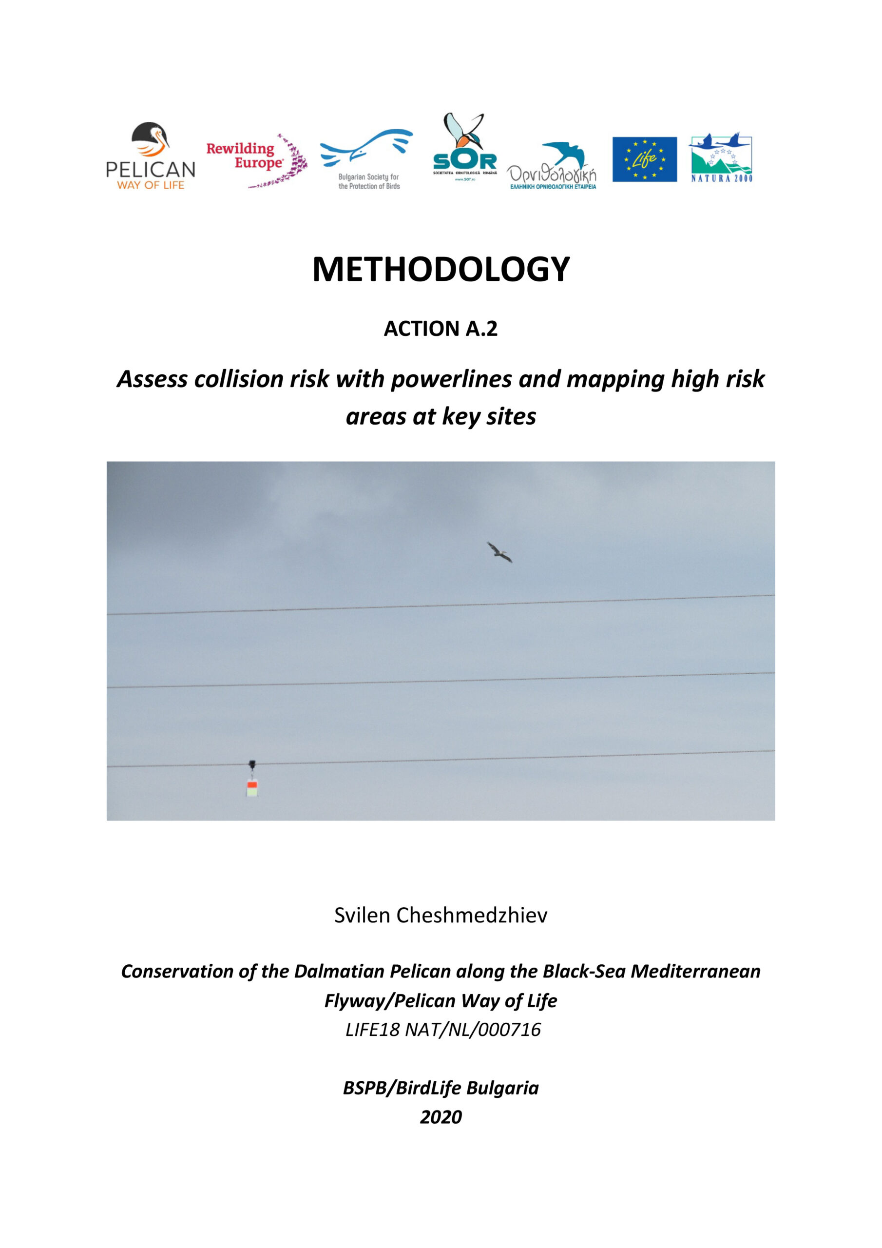 Methodology “Assess collision risk with powerlines and mapping high risk areas at key sites”