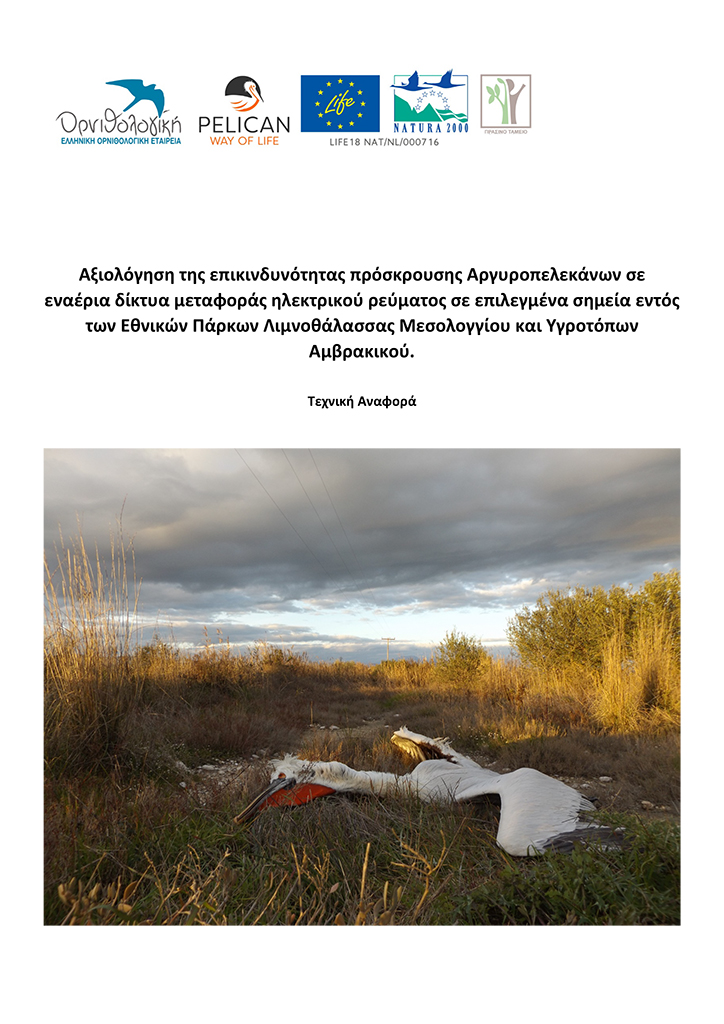 Technical report “Assessment of the risk of Dalmatian pelicans striking overhead electricity transmission networks at selected points within the Messolonghi Lagoon and Amvrakikok Wetlands National Parks.”