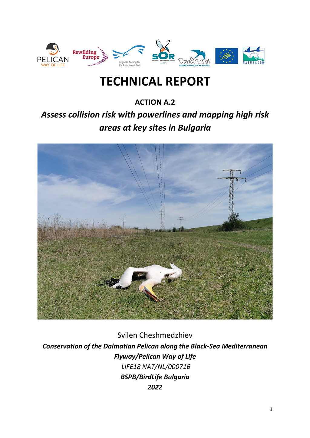 Assess collision risk with powerlines and mapping high risk areas at key sites in Bulgaria