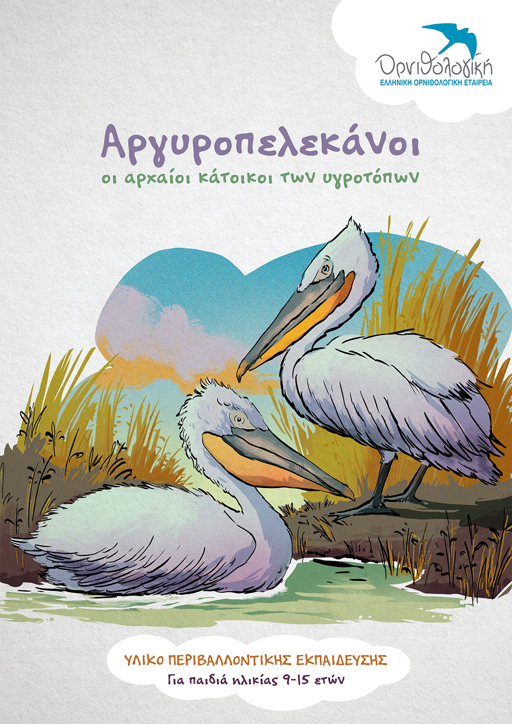 Dalmatian pelican Education kit for children aged 9-15 years