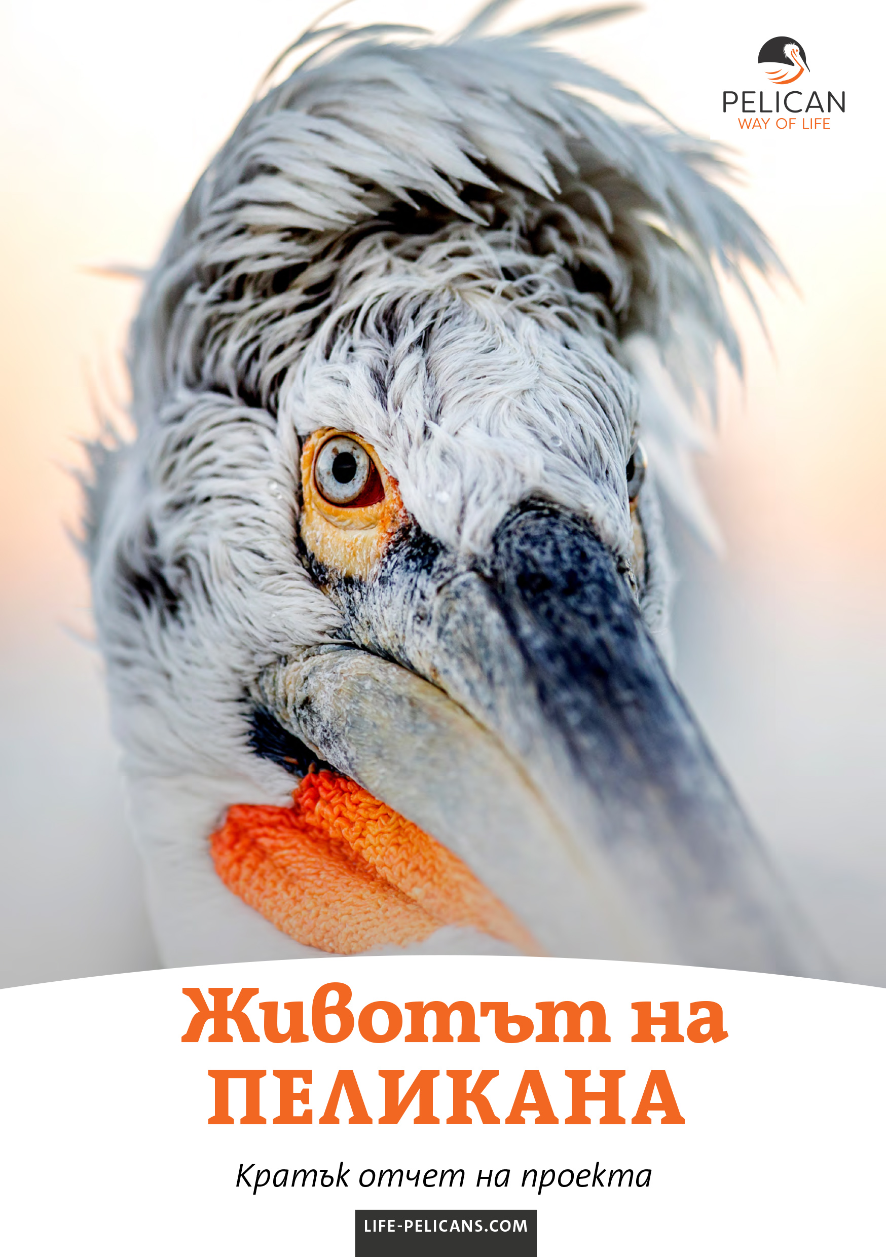 «Pelican Way Of LIFE» Layman's report (Bulgarian)