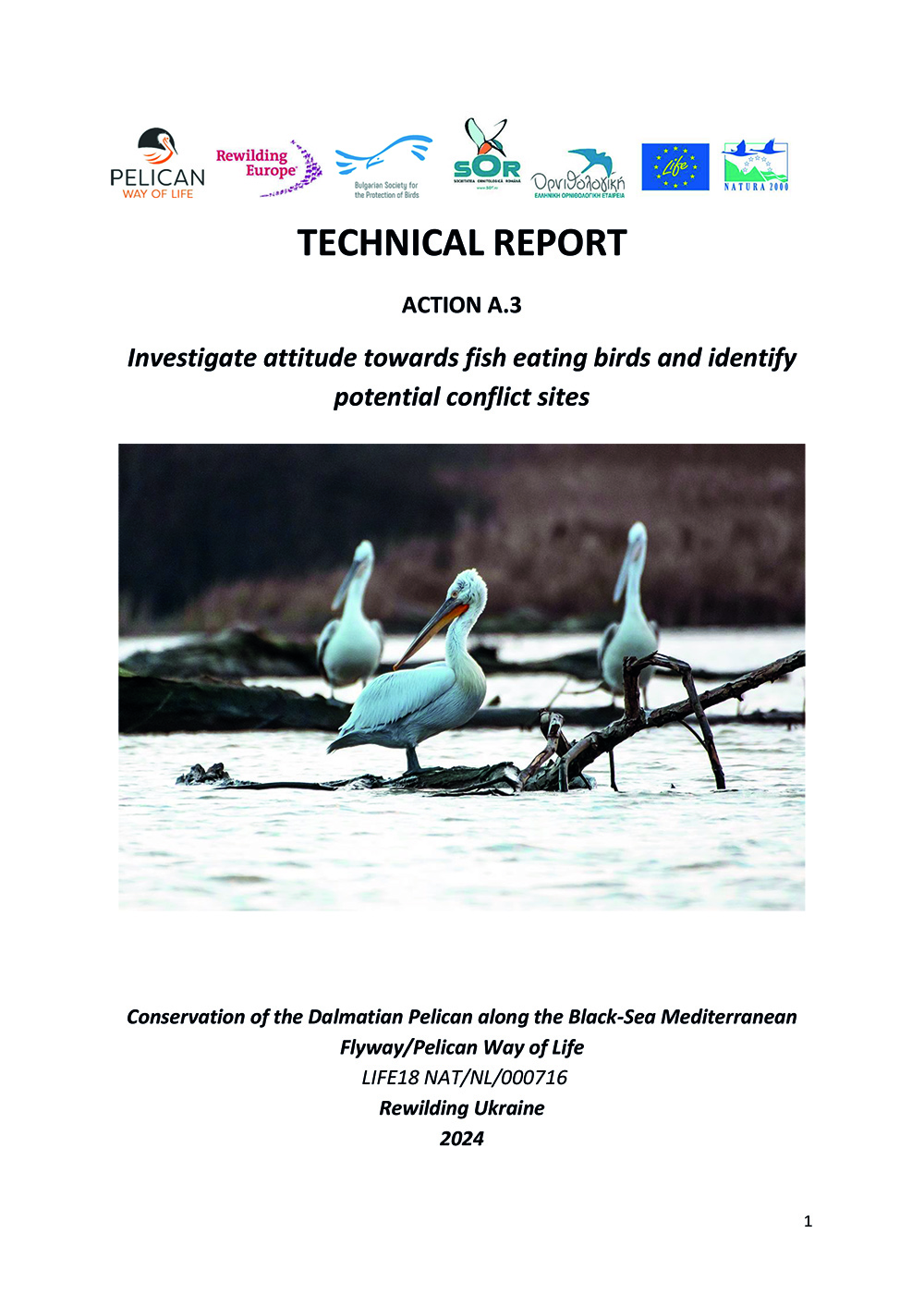 TECHNICAL REPORT «Investigate attitude towards fish-eating birds and identify potential conflict sites in Ukraine»