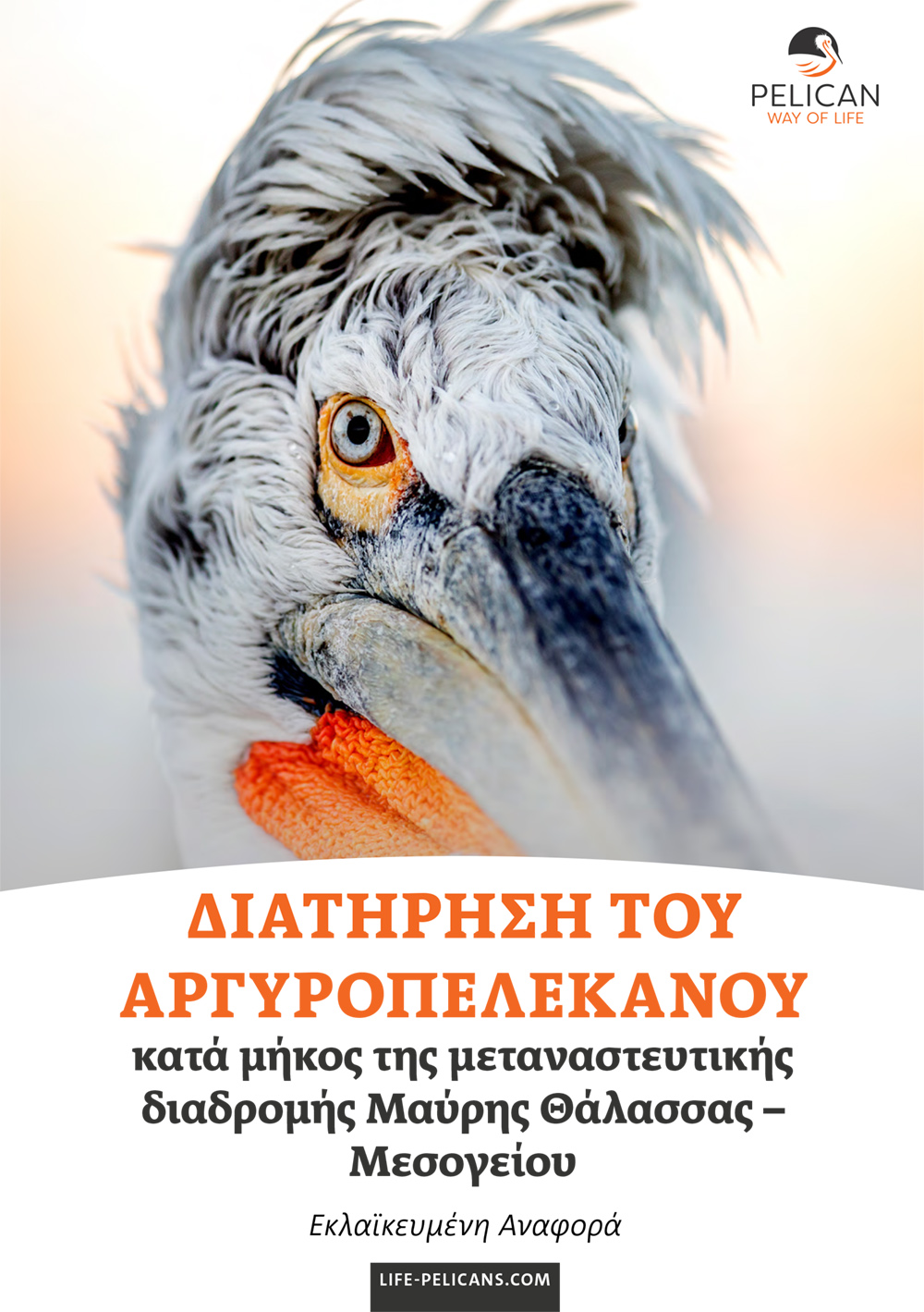 «Pelican Way Of LIFE» Layman's report (Greek)
