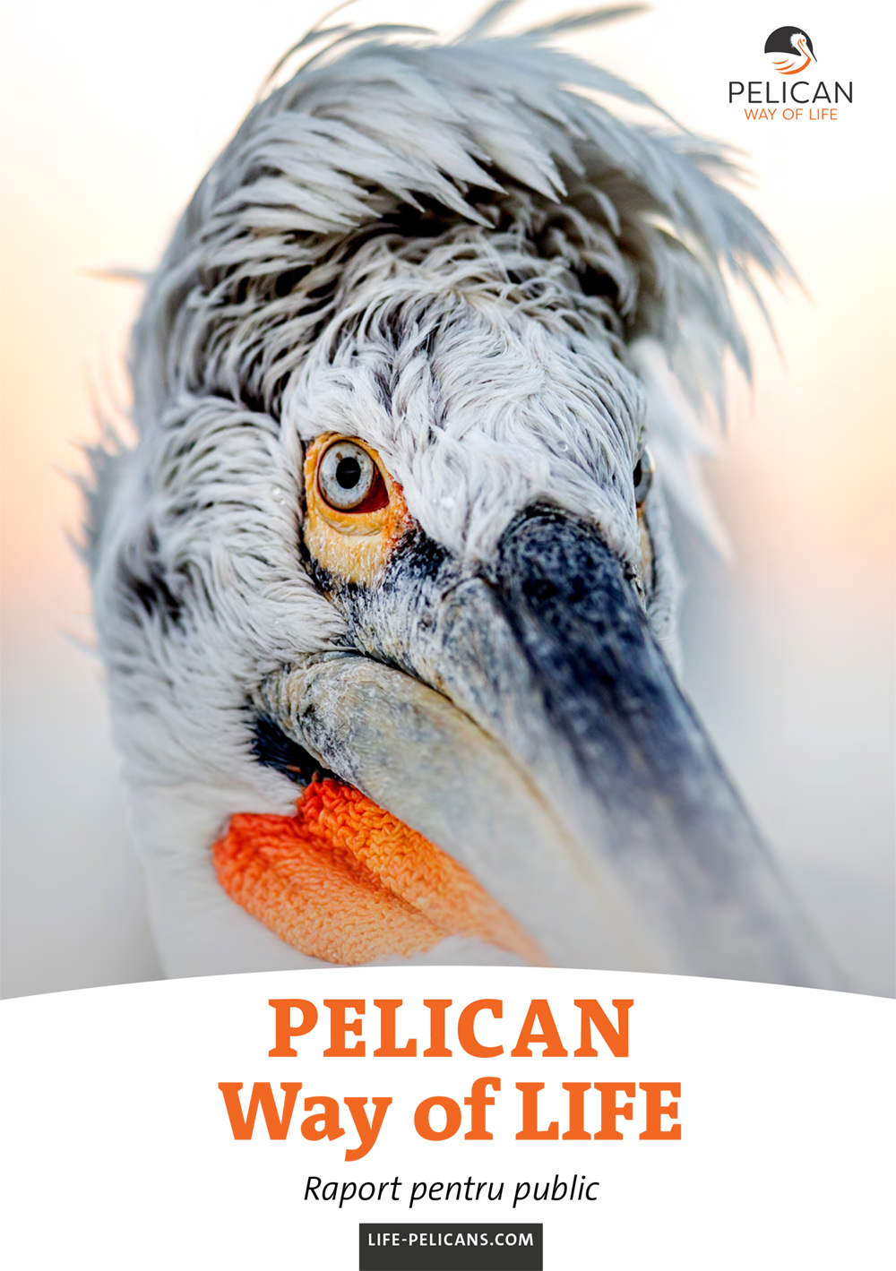 «Pelican Way Of LIFE» Layman's report (Romanian)