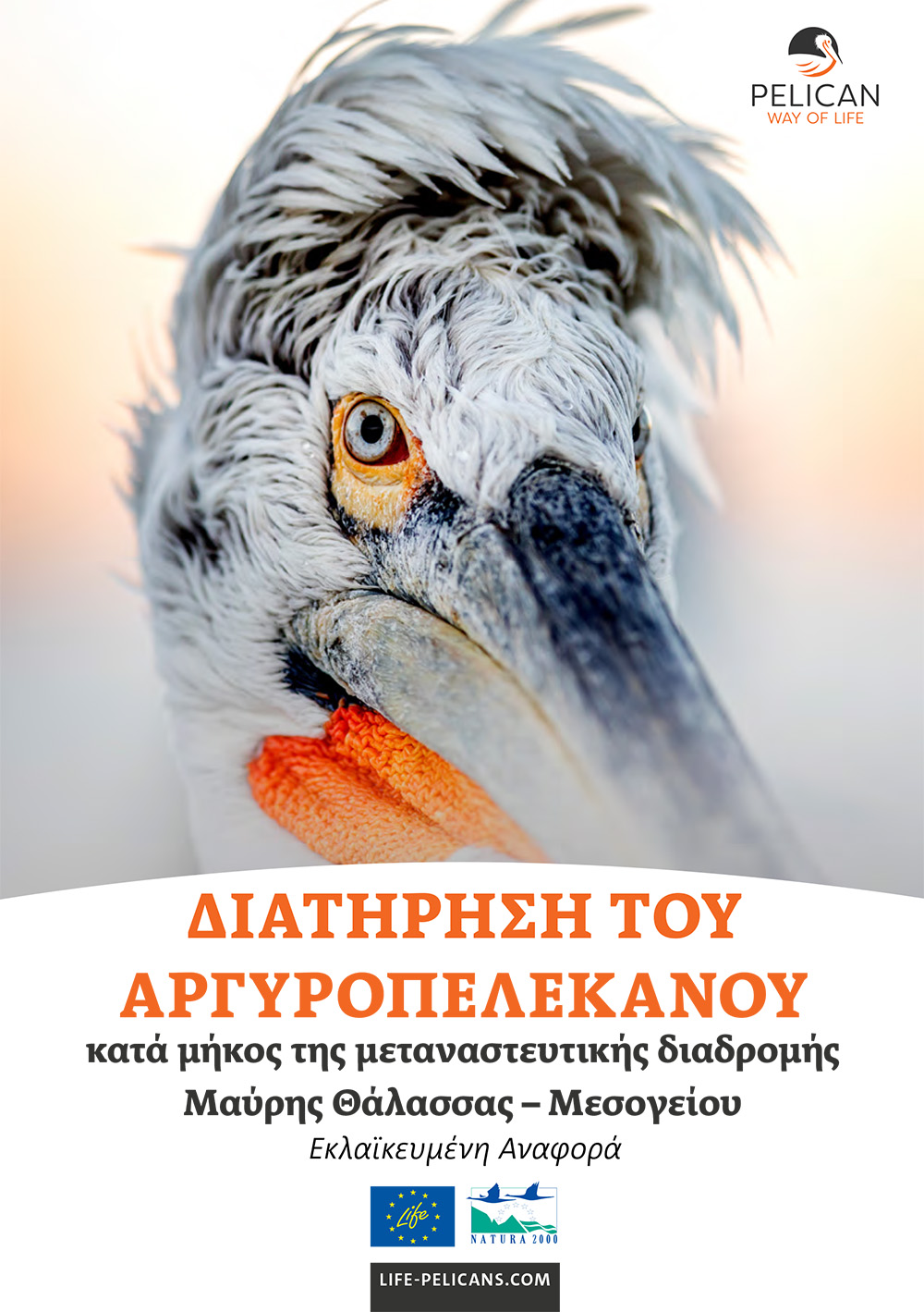 «Pelican Way Of LIFE» Layman's report (Greek)