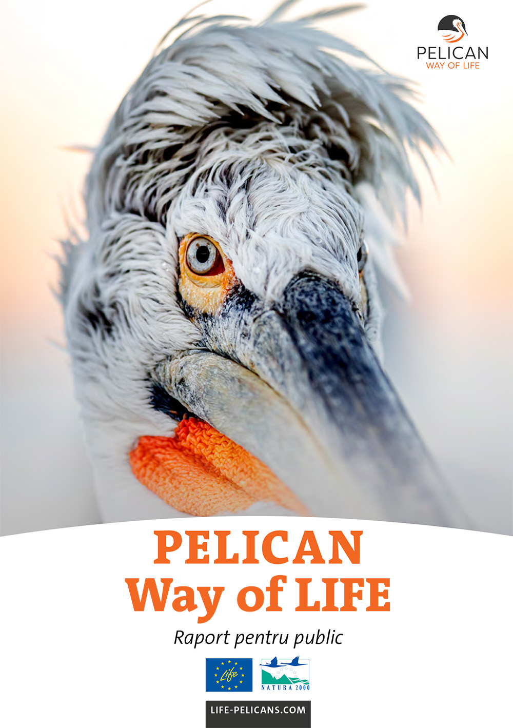«Pelican Way Of LIFE» Layman's report (Romanian)