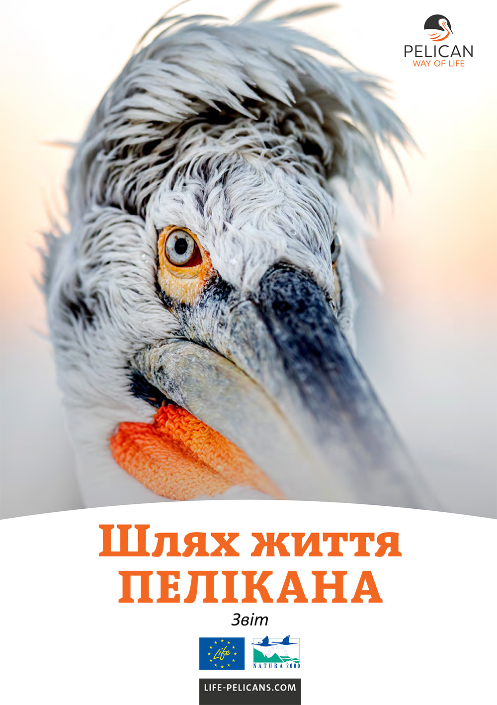 «Pelican Way Of LIFE» Layman's report (Ukrainian)