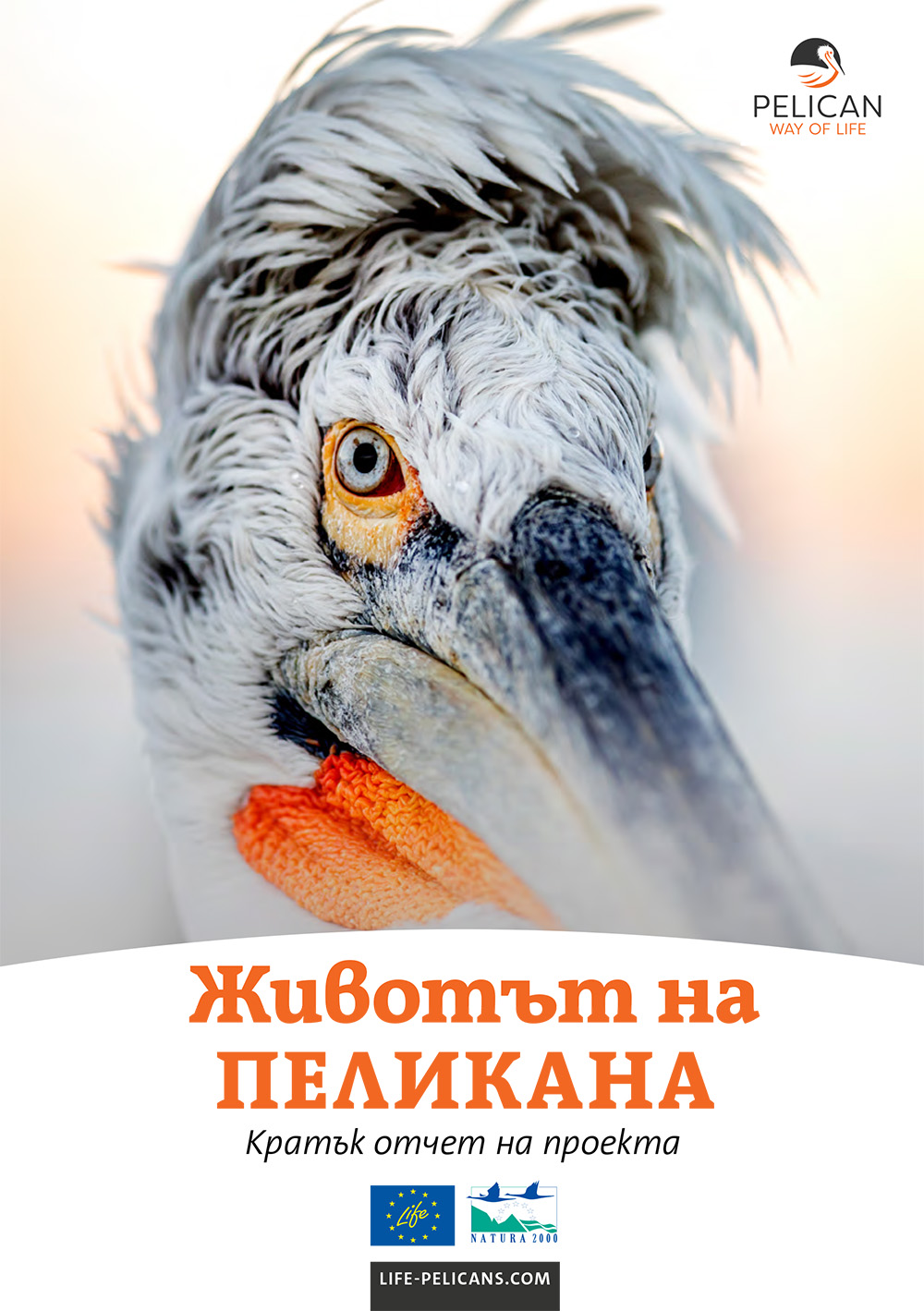 «Pelican Way Of LIFE» Layman's report (Bulgarian)