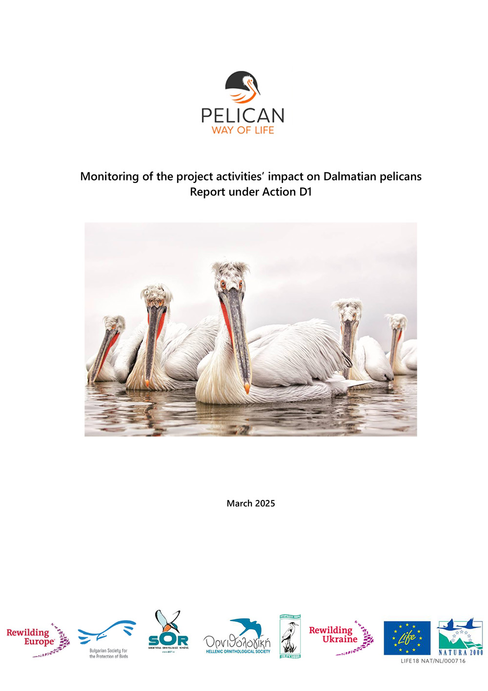 Report «Monitoring of the project activities’ impact on Dalmatian pelicans»
