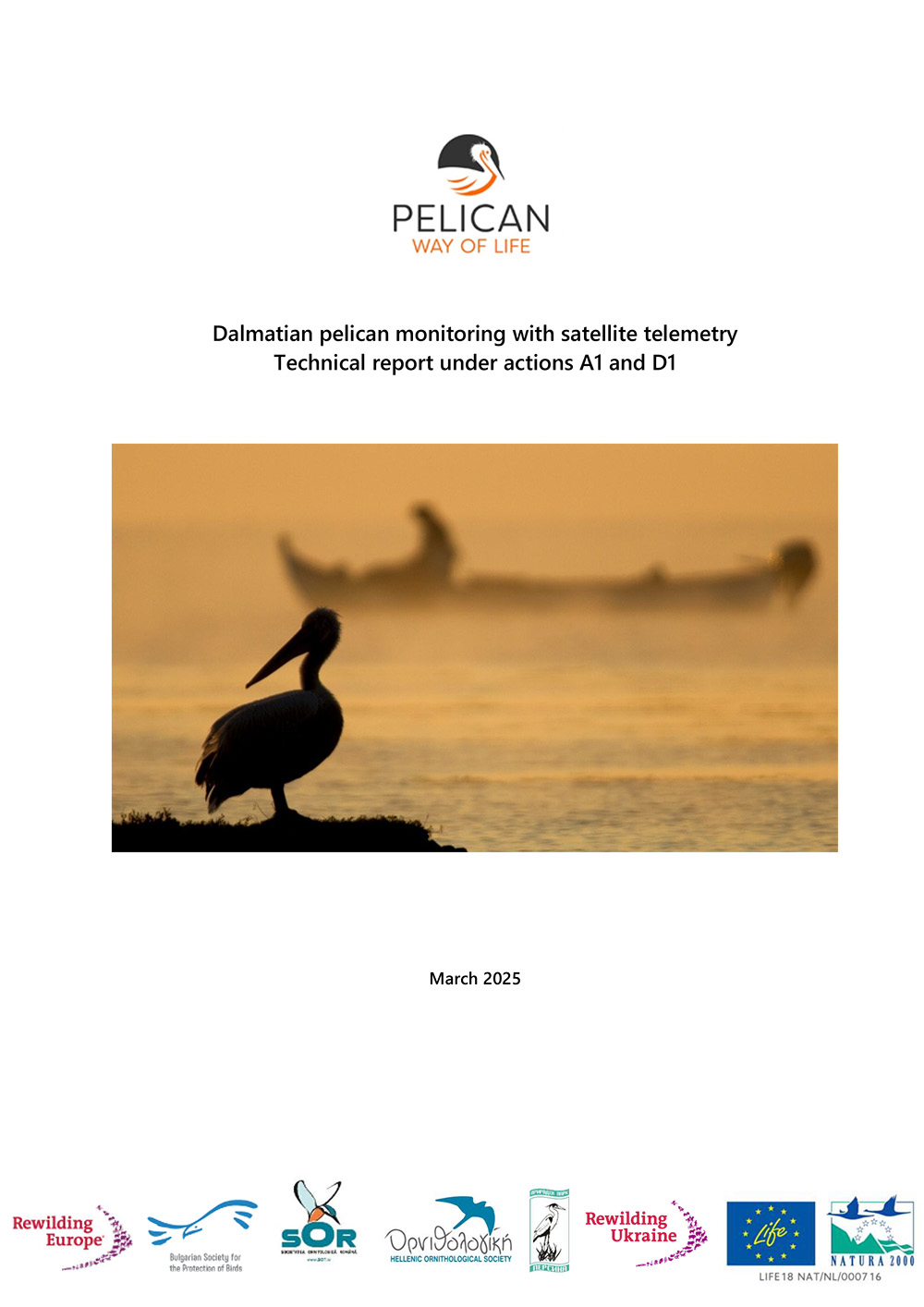 Technical report «Dalmatian pelican monitoring with satellite telemetry»